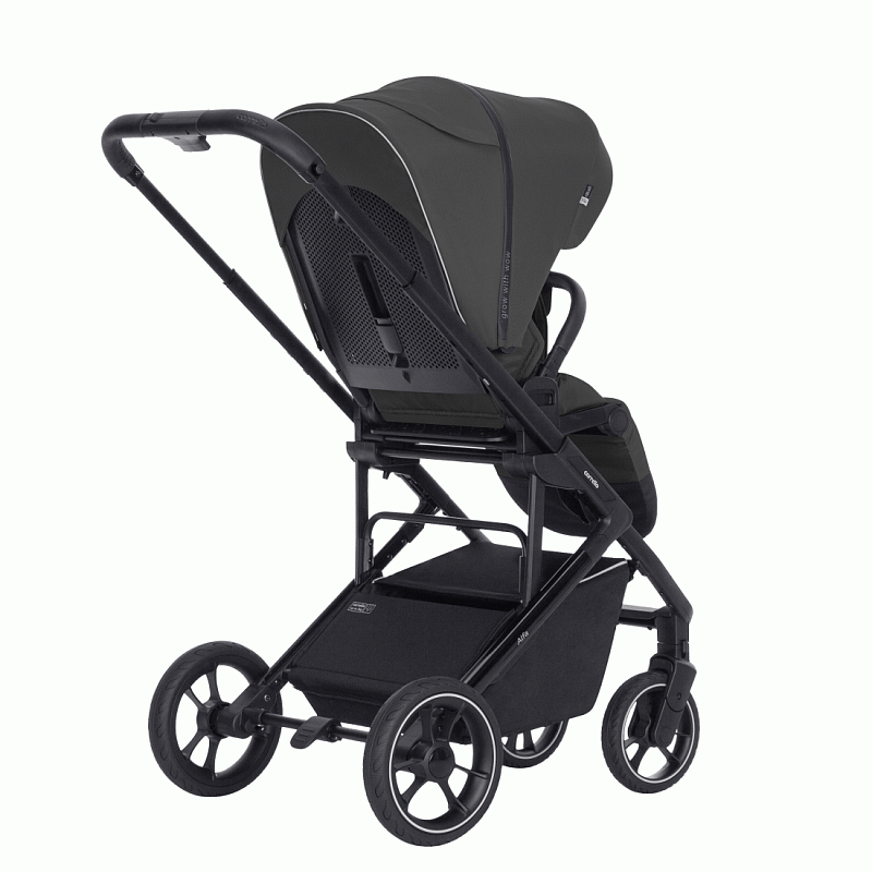 Коляска прогулочная Carrello Alfa