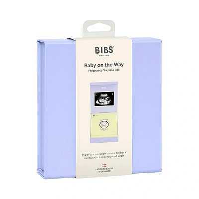 Подарочный набор пустышек BIBS Colour «Baby on the Way», 0+ мес.