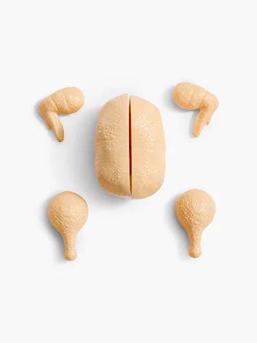 Набор игровой Happy Baby "CUT&FOOD"
