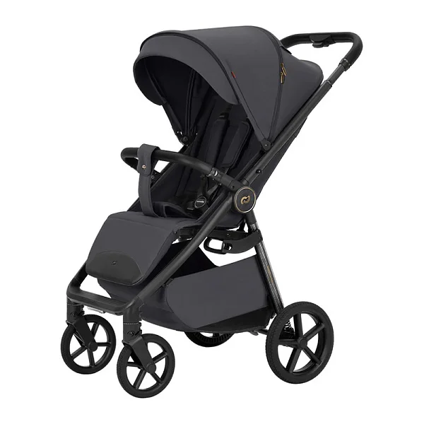 Коляска прогулочная Carrello Bravo Carbon