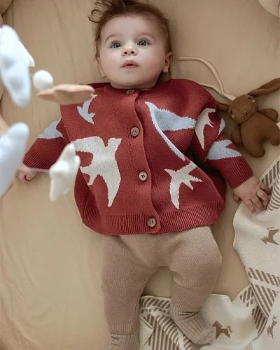Кардиган детский Loomknits Ласточки LW0303