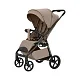 Коляска прогулочная Carrello Bravo Carbon