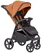 Tango Orange 2024