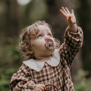 Пустышка латексная BIBS Colour Pink Plum 6+ мес. 7