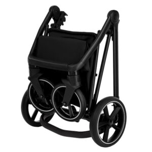 Коляска 2 в 1 Roan Sol 22