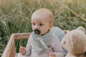 Держатель для пустышки BIBS 6