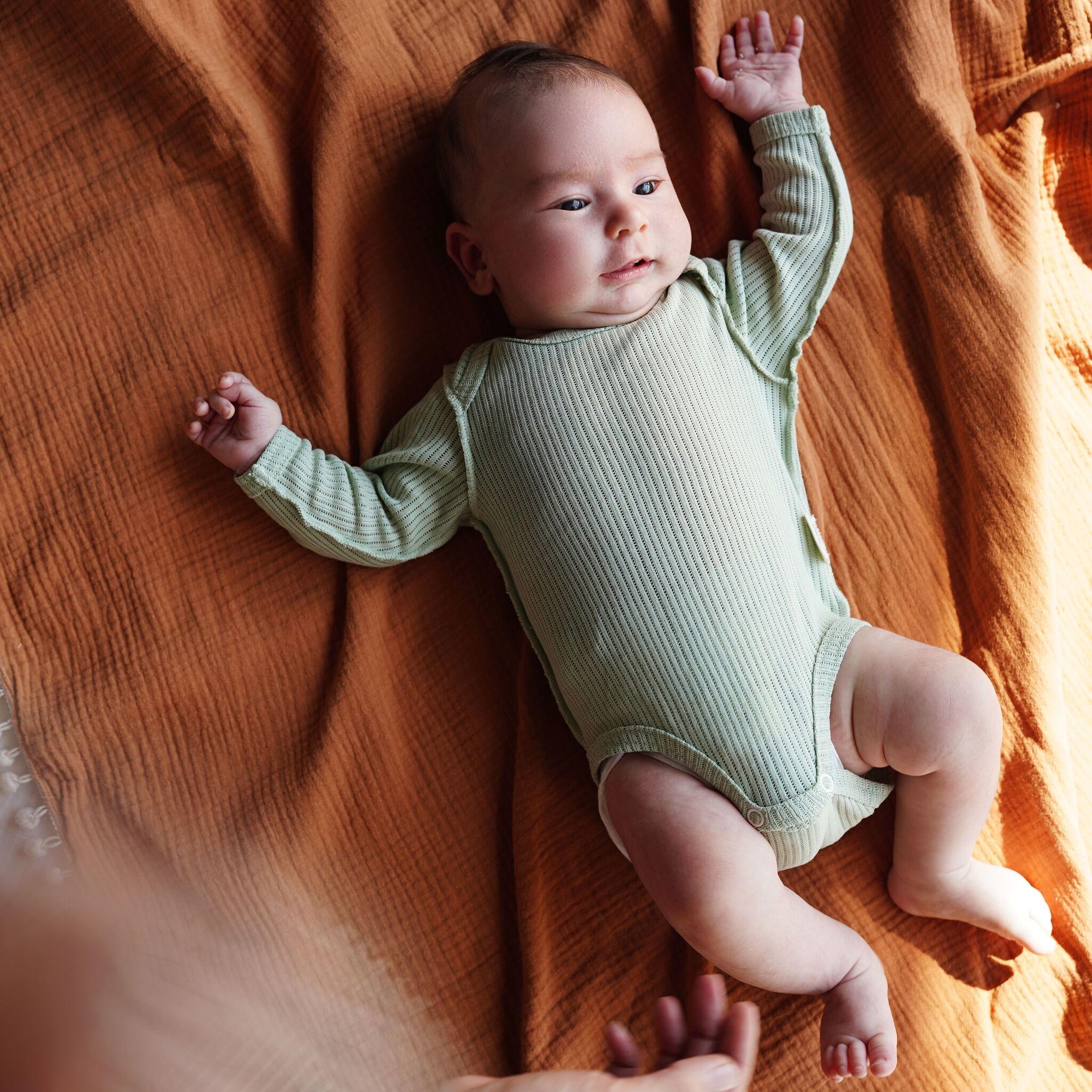 Боди с длинным рукавом BUNGLY "Шалфей" из хлопка в рубчик 0-3м 2