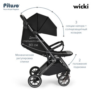 Коляска прогулочная Pituso Wicki PU 31