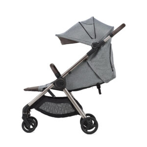 Коляска 2в1 Anex IQ Premium NEW 33