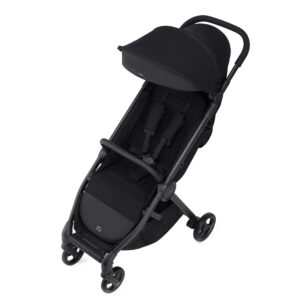 Коляска 2в1 Anex IQ Basic NEW 45