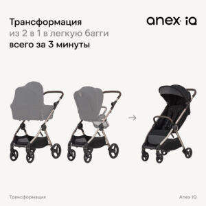 Коляска 2в1 Anex IQ Premium NEW 40