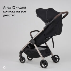 Коляска 2в1 Anex IQ Premium NEW 44