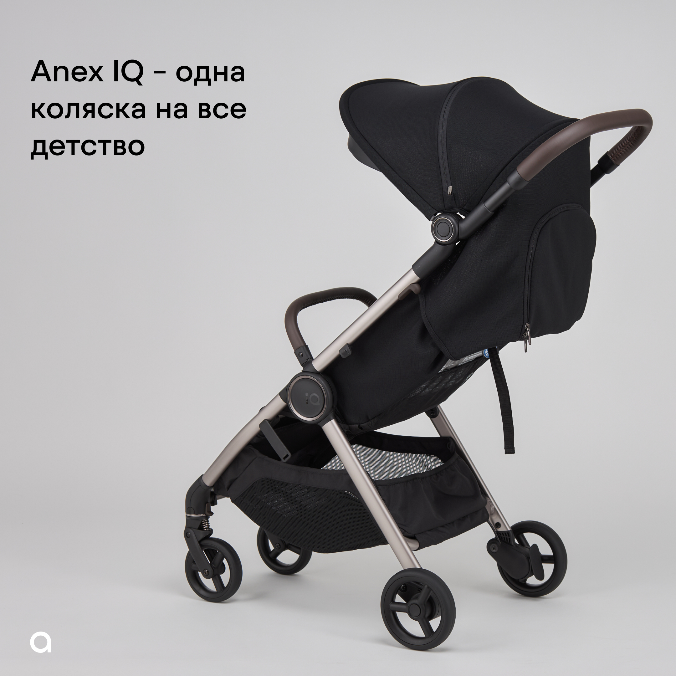 Коляска 2в1 Anex IQ Premium NEW 22