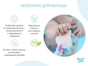 Прорезыватель Roxy Kids на держателе клубничка 14