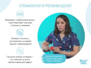 Прорезыватель Roxy Kids на держателе клубничка 15