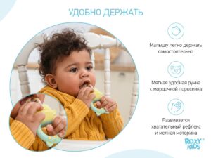 nibler_piggy_mint_8cf5fd8df1 Ниблер Roxy Kids для прикорма с силиконовой сеточкой Piggy 12