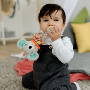 Погремушка с пищалкой FEHN Коала 10