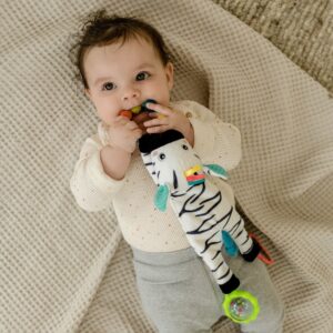 Развивающая игрушка FEHN Зебра 12