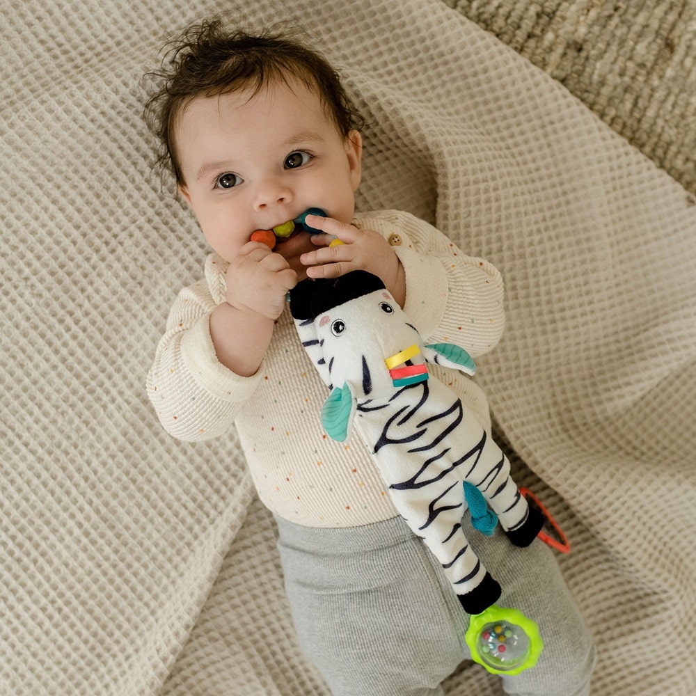 Развивающая игрушка FEHN Зебра 5