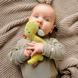 051117_45 Мягкая погремушка-кольцо FEHN Динозавр 6