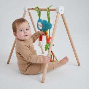 Развивающая подвесная игрушка Happy Baby ОБЛАКО С ПЧЁЛКОЙ 24