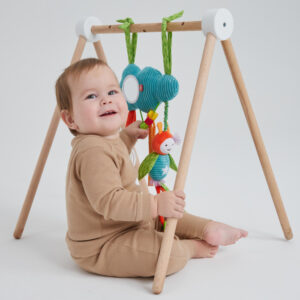 Развивающая подвесная игрушка Happy Baby ОБЛАКО С ПЧЁЛКОЙ 25