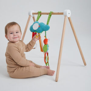 Развивающая подвесная игрушка Happy Baby ОБЛАКО С ПЧЁЛКОЙ 27