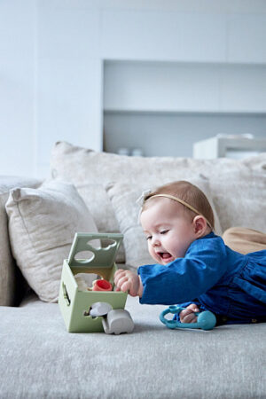 20240620_Edda_5027_min Игрушка-сортер Edda Зверята 18