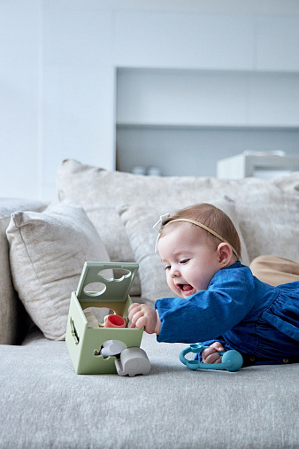 20240620_Edda_5027_min Игрушка-сортер Edda Зверята 9