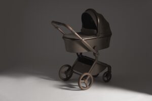 27619_20_lxs Коляска 2 в 1 Anex Flo 48