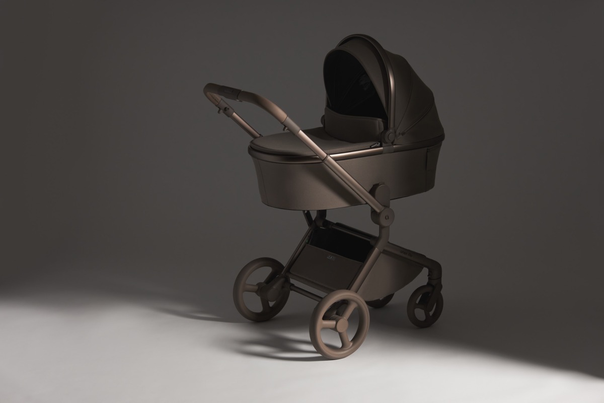 27619_20_lxs Коляска 2 в 1 Anex Flo 21