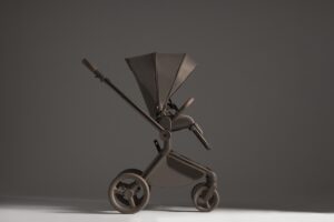 27619_21_yul Коляска 2 в 1 Anex Flo 49