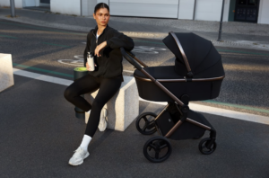 27619_22_ijq Коляска 2 в 1 Anex Flo 50