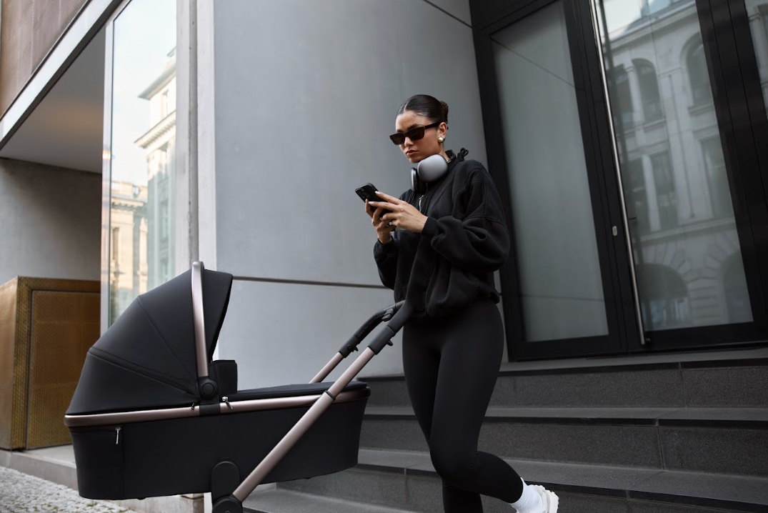 27619_24_ip3 Коляска 2 в 1 Anex Flo 25