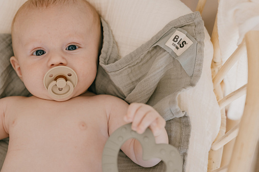 BIBS_SS21_MuslinCloth_Lifestyle_6 Пустышка латексная BIBS Colour Latex Anatomical Vanilla 0+ мес. 2