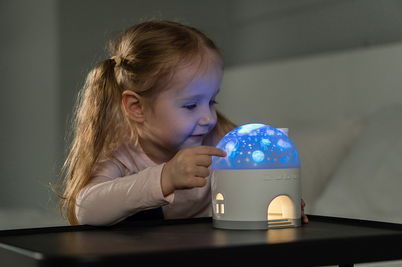 Ночник-проектор Снежный домик Roxy Kids 69