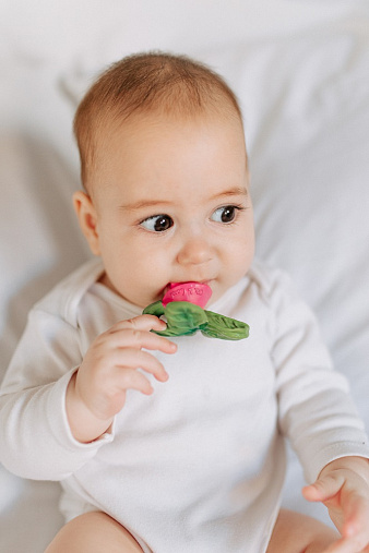 Прорезыватель для зубов Oli&Carol RAMONITA THE RADISH мини 2