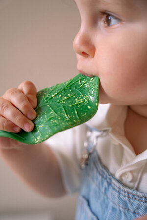 Игрушка-прорезыватель Oli&Carol Chlorophyll Leaf 6