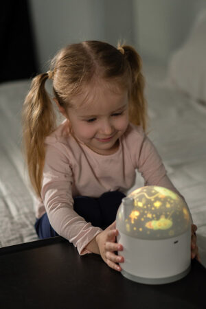 Ночник-проектор Снежный домик Roxy Kids 137