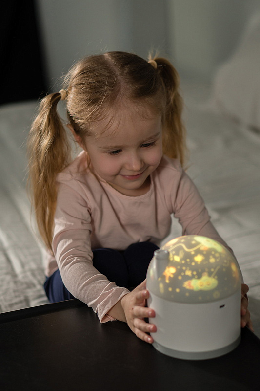 Ночник-проектор Снежный домик Roxy Kids 67