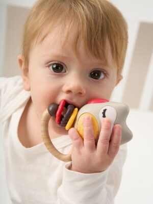 Набор игрушек Happy baby JOLLY FRIENDS 31