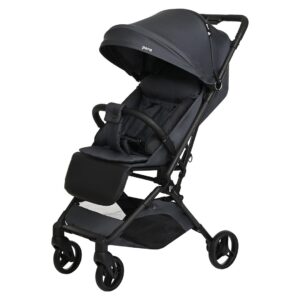 25137_5_b5o Коляска прогулочная Pituso Pera X-33 18