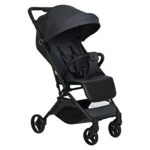 25137_7_srn Коляска прогулочная Pituso Pera X-33 20