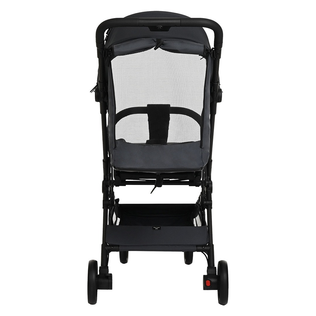 25137_9_1up Коляска прогулочная Pituso Pera X-33 10