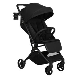 25137_bc6 Коляска прогулочная Pituso Pera X-33 13