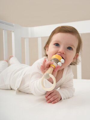 Набор игрушек Happy baby JOLLY FRIENDS 37