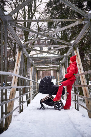 shop_property_file_25150_26849 Полозья для коляски Cybex PRIAM 21