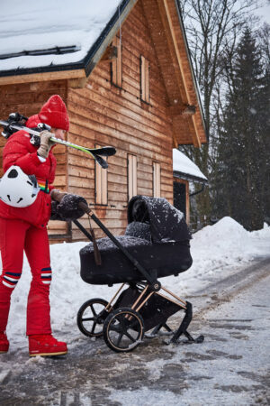 shop_property_file_25150_26853 Полозья для коляски Cybex PRIAM 25