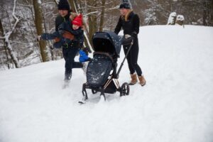 shop_property_file_25150_27713 Полозья для коляски Cybex PRIAM 27