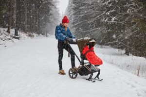 shop_property_file_25150_27714 Полозья для коляски Cybex PRIAM 28